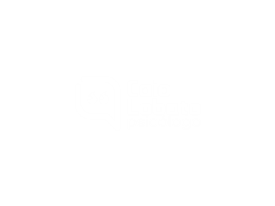 logo 49