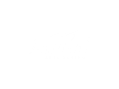 logo 50