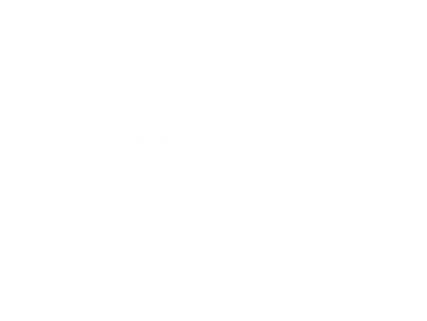 logo 55